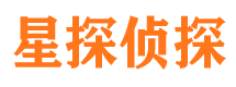 当雄侦探公司